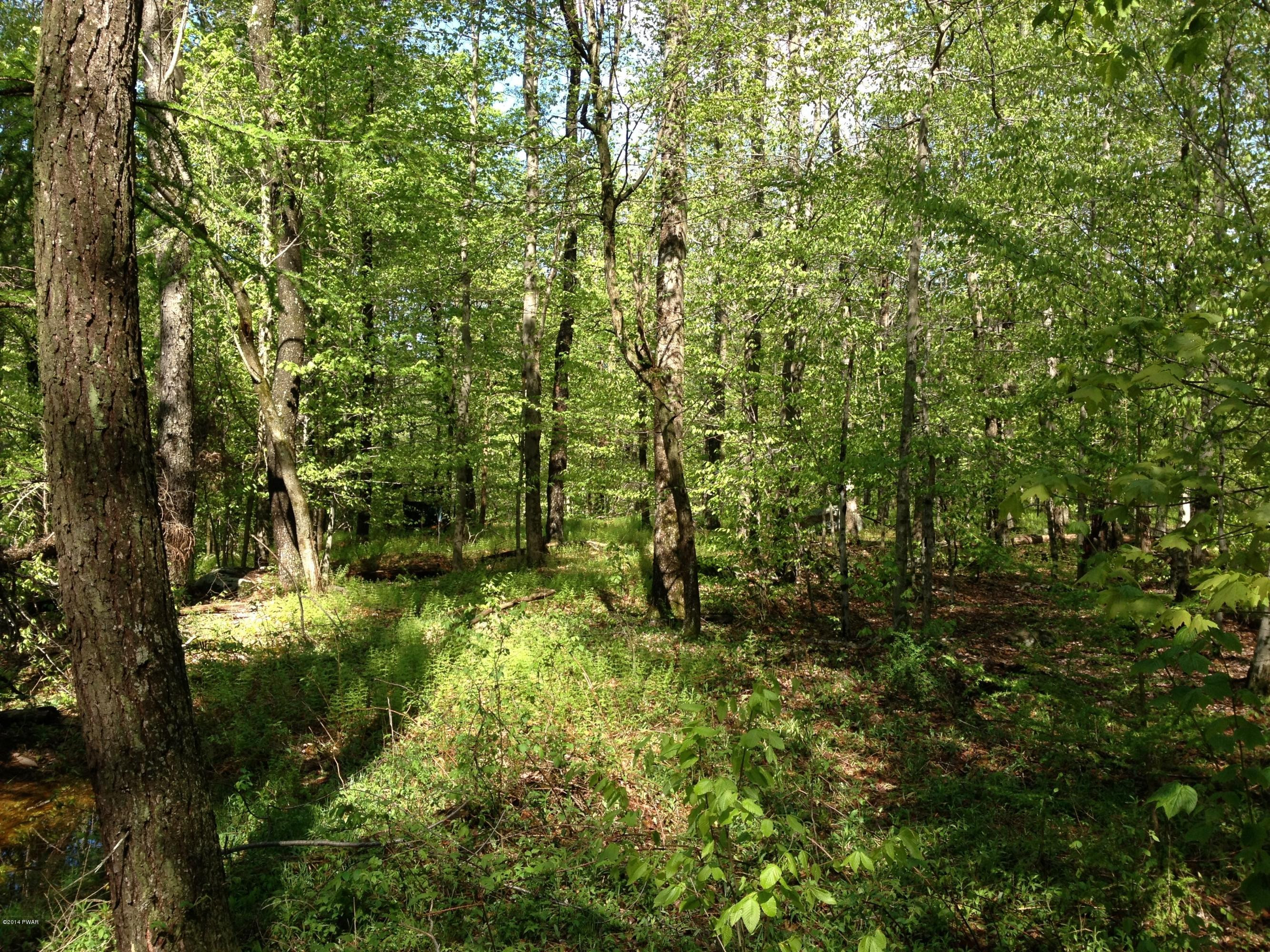 326 Sawmill Road Lake Ariel, PA 18436 - Photo 10 of 10