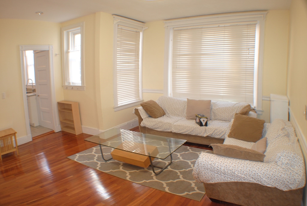22 Parkway Road, Unit 2 Brookline, MA 02445 - Photo 4 of 11