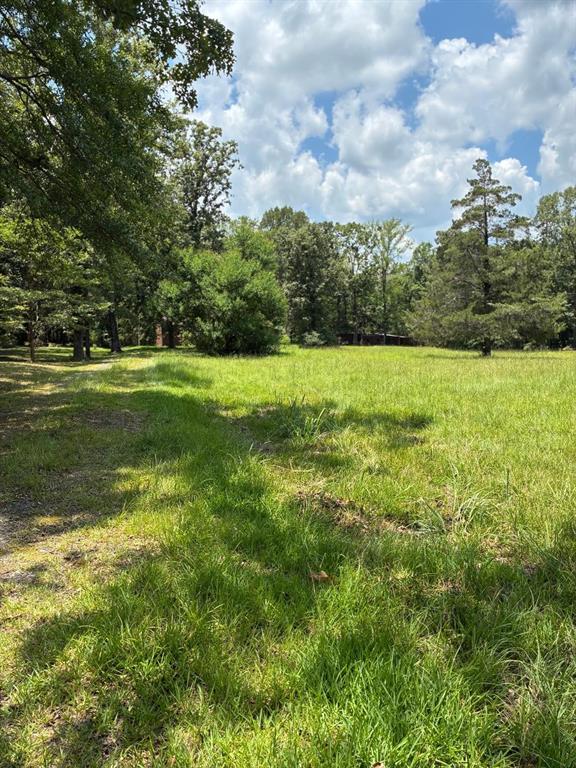 460 Brian David Road Stonewall, LA 71078 - Photo 1 of 4