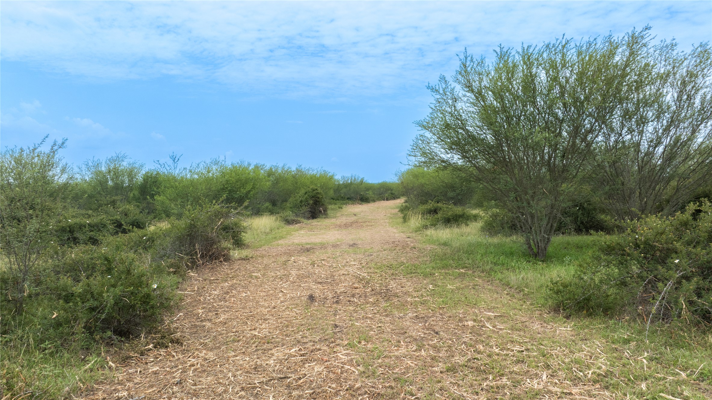 Lot 14 Concrete-Edgar Road Cuero, TX 77954 - Photo 12 of 12 a view of a yard with a tree