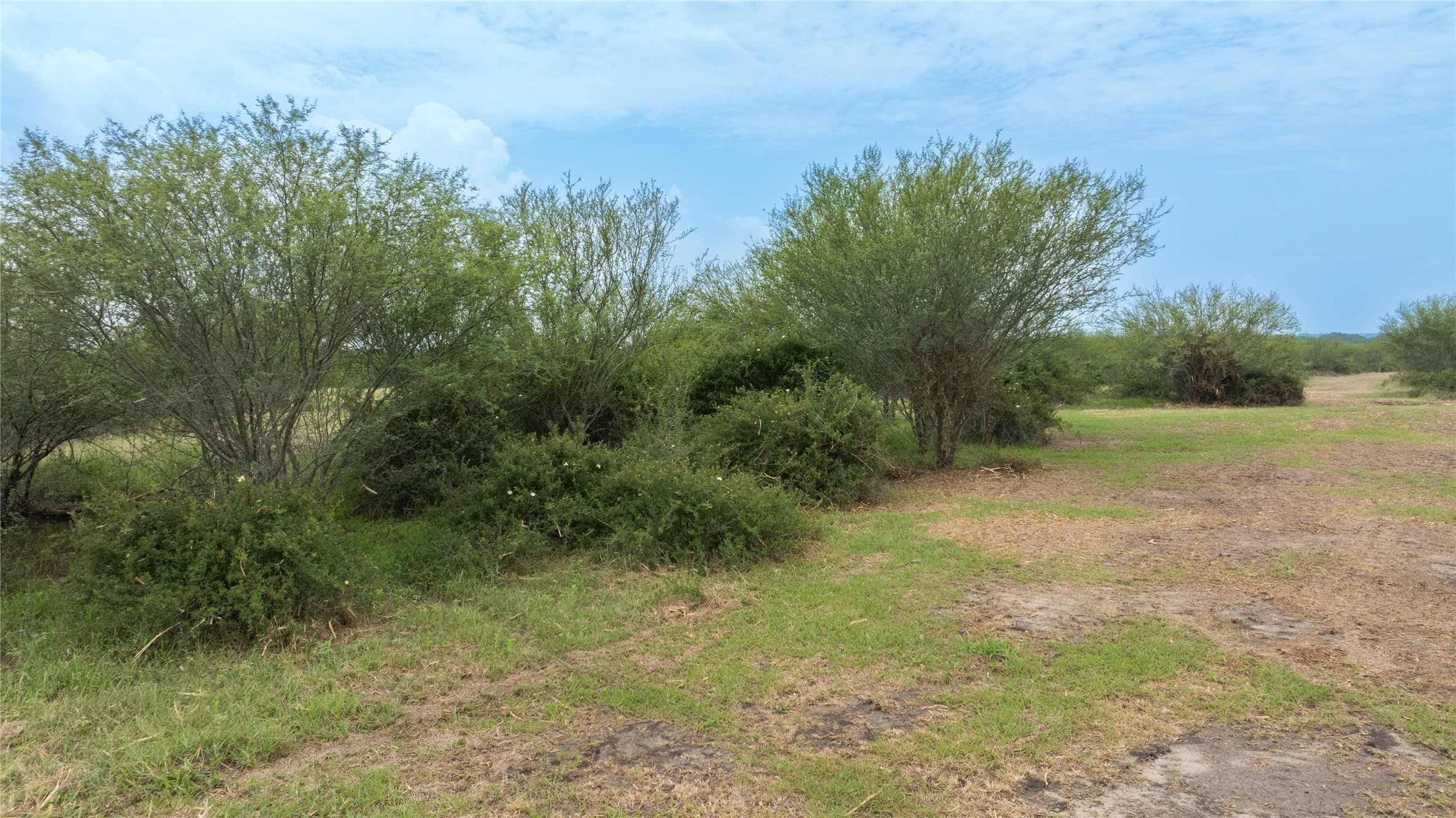 Lot 14 Concrete-Edgar Road Cuero, TX 77954 - Photo 4 of 12 a view of a field with trees in the background