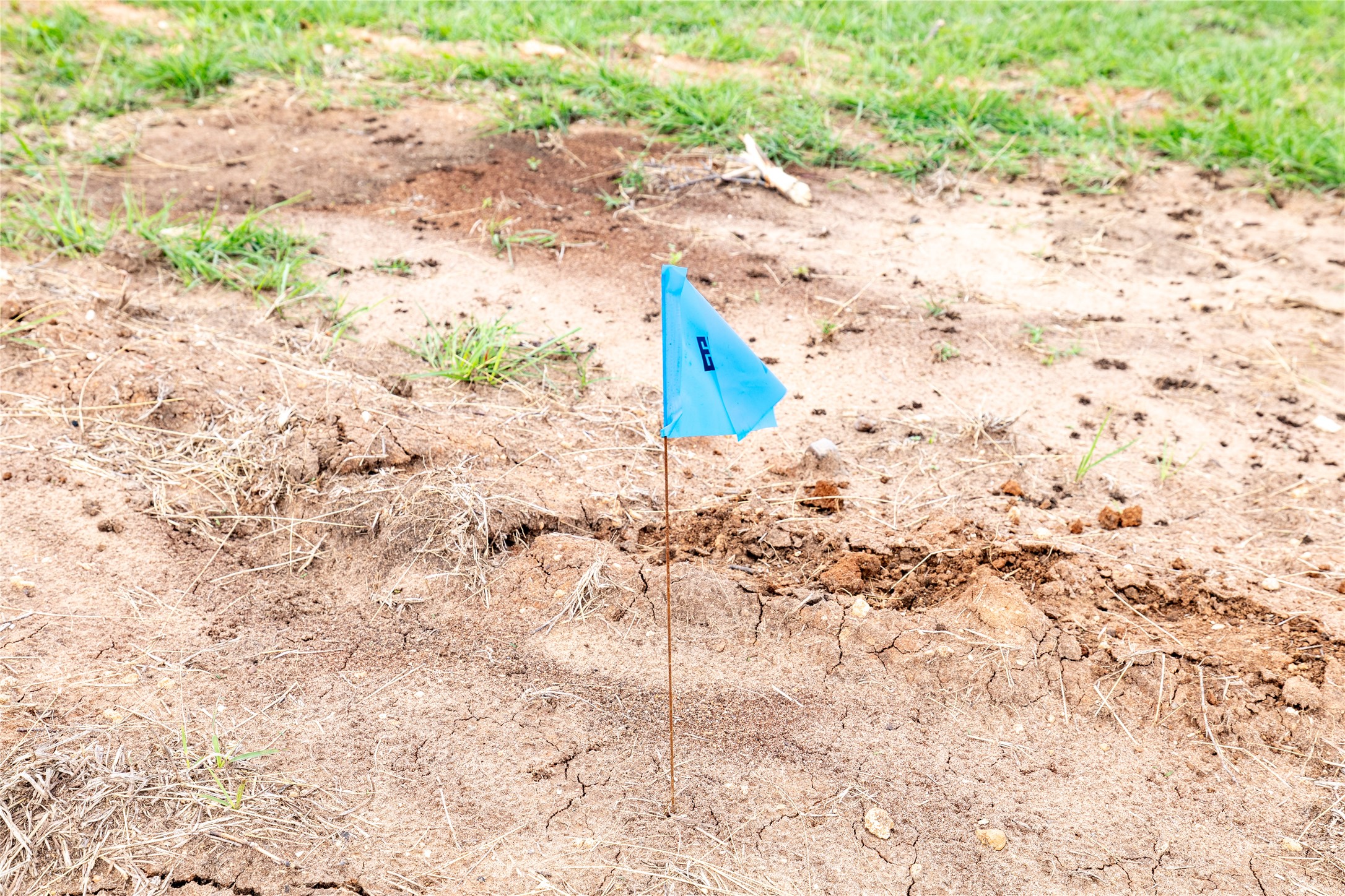 Lot 14 Concrete-Edgar Road Cuero, TX 77954 - Photo 6 of 12