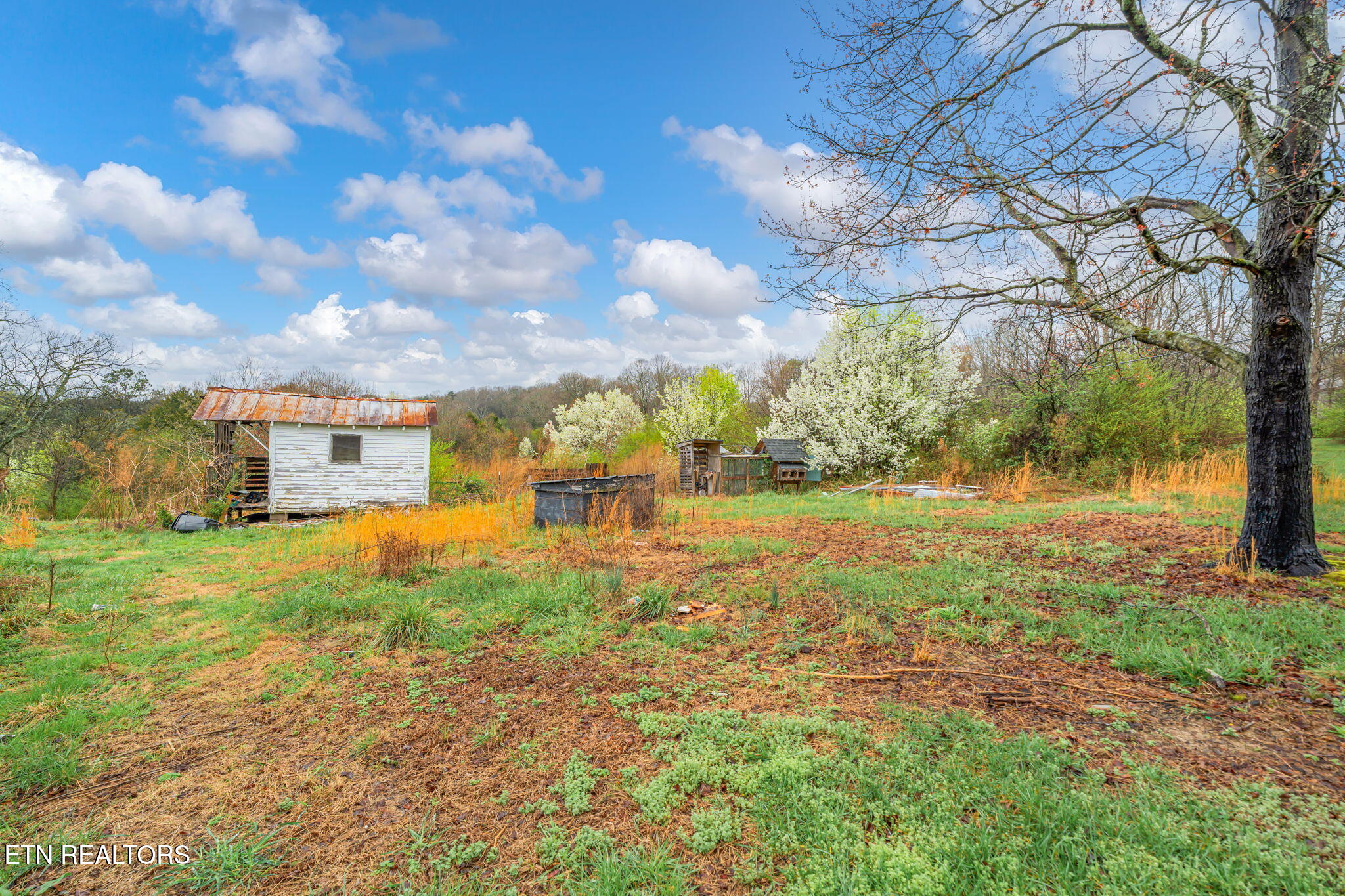 6430 Simpson Road Loudon, TN 37774 - Photo 26 of 36 25-web-or-mls-6430 Simpson Road-25
