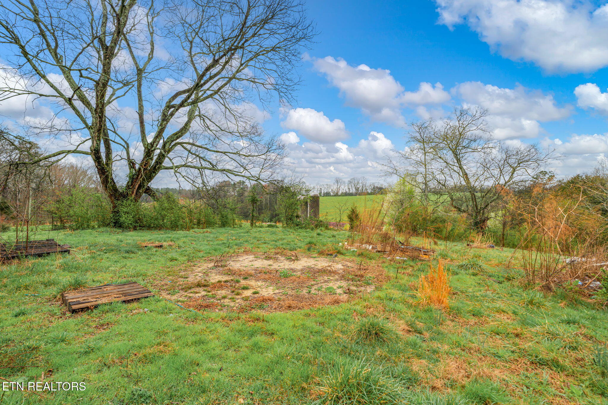 6430 Simpson Road Loudon, TN 37774 - Photo 27 of 36 26-web-or-mls-6430 Simpson Road-26