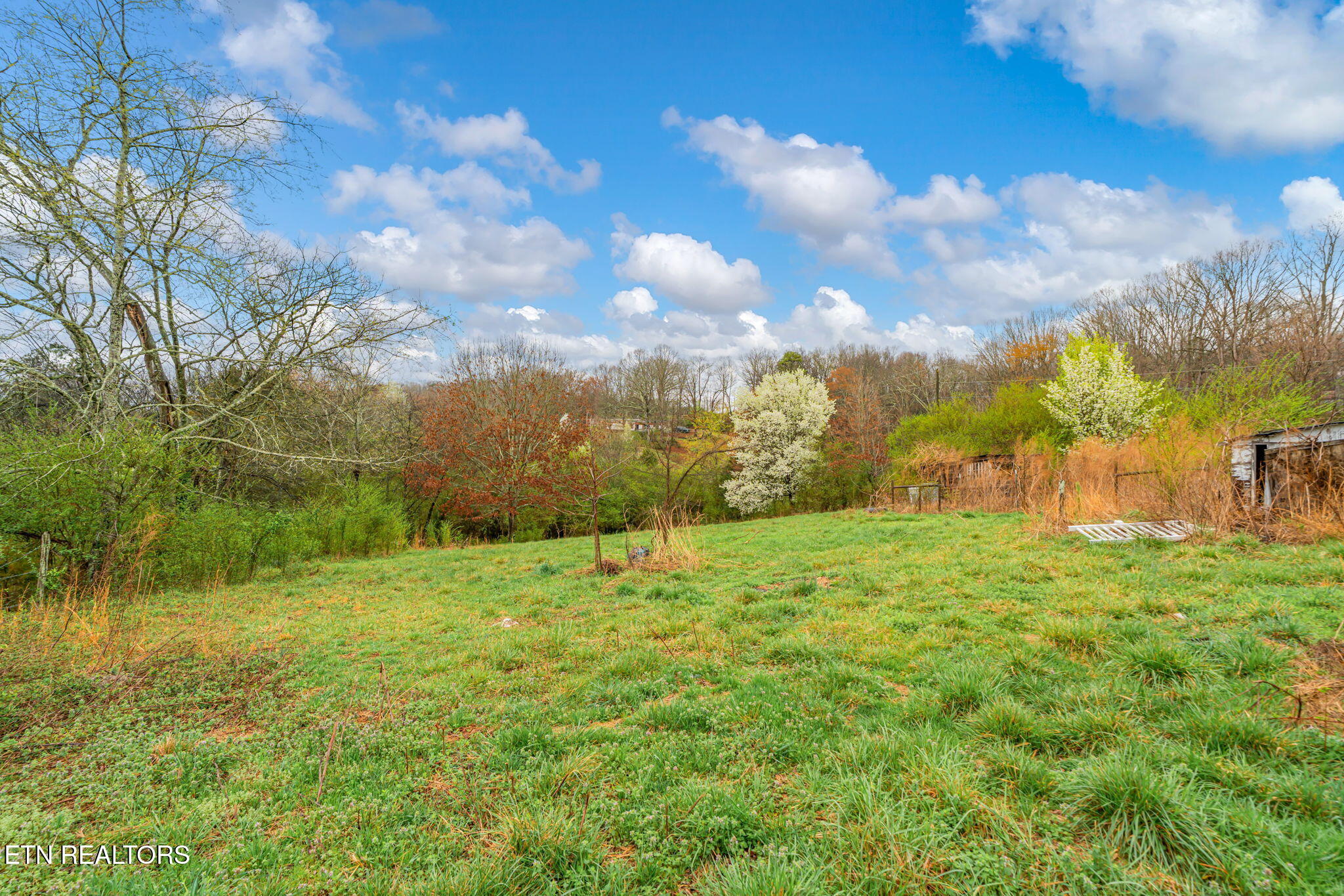 6430 Simpson Road Loudon, TN 37774 - Photo 30 of 36 29-web-or-mls-6430 Simpson Road-29