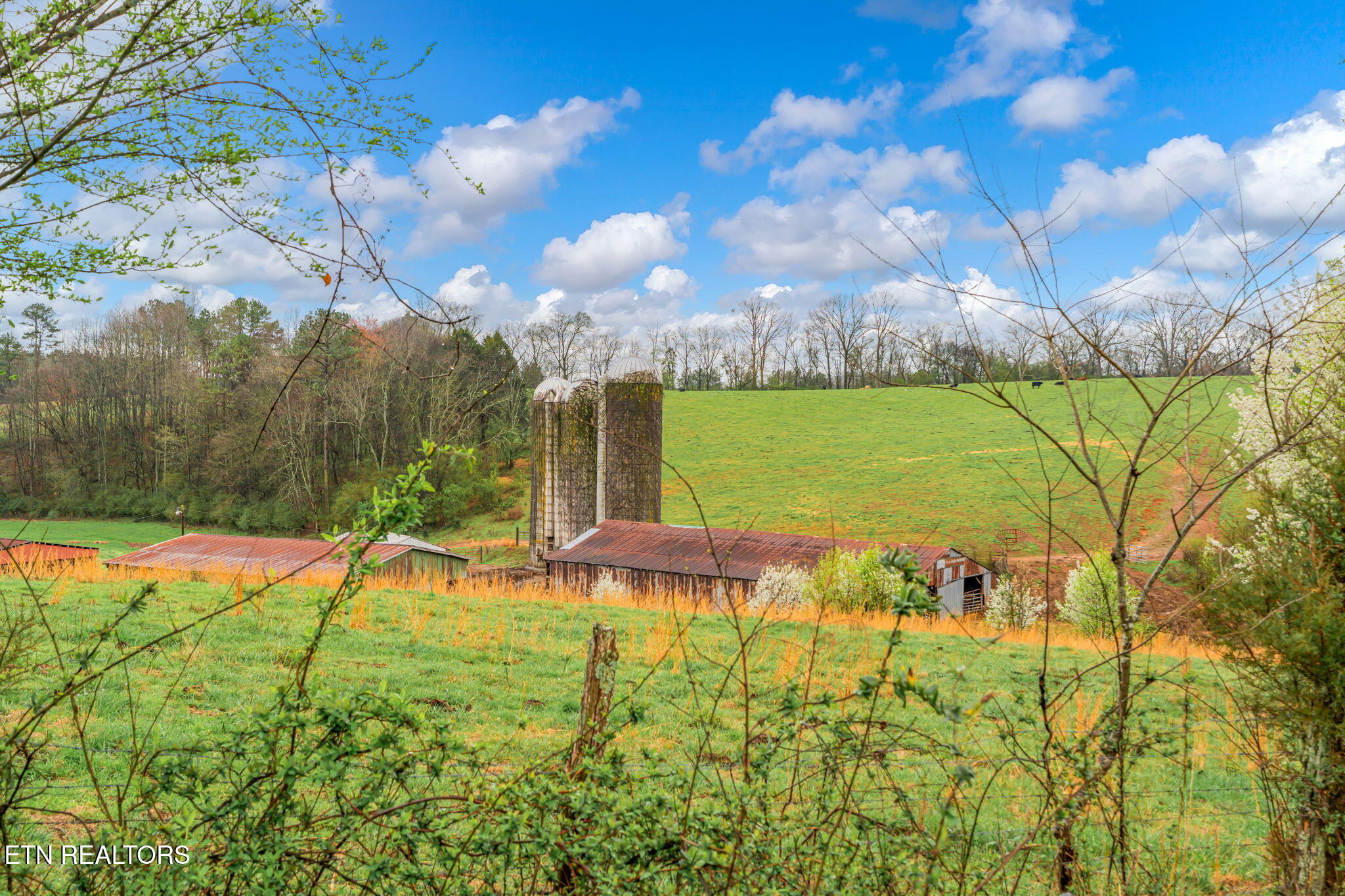 6430 Simpson Road Loudon, TN 37774 - Photo 31 of 36 30-web-or-mls-6430 Simpson Road-30