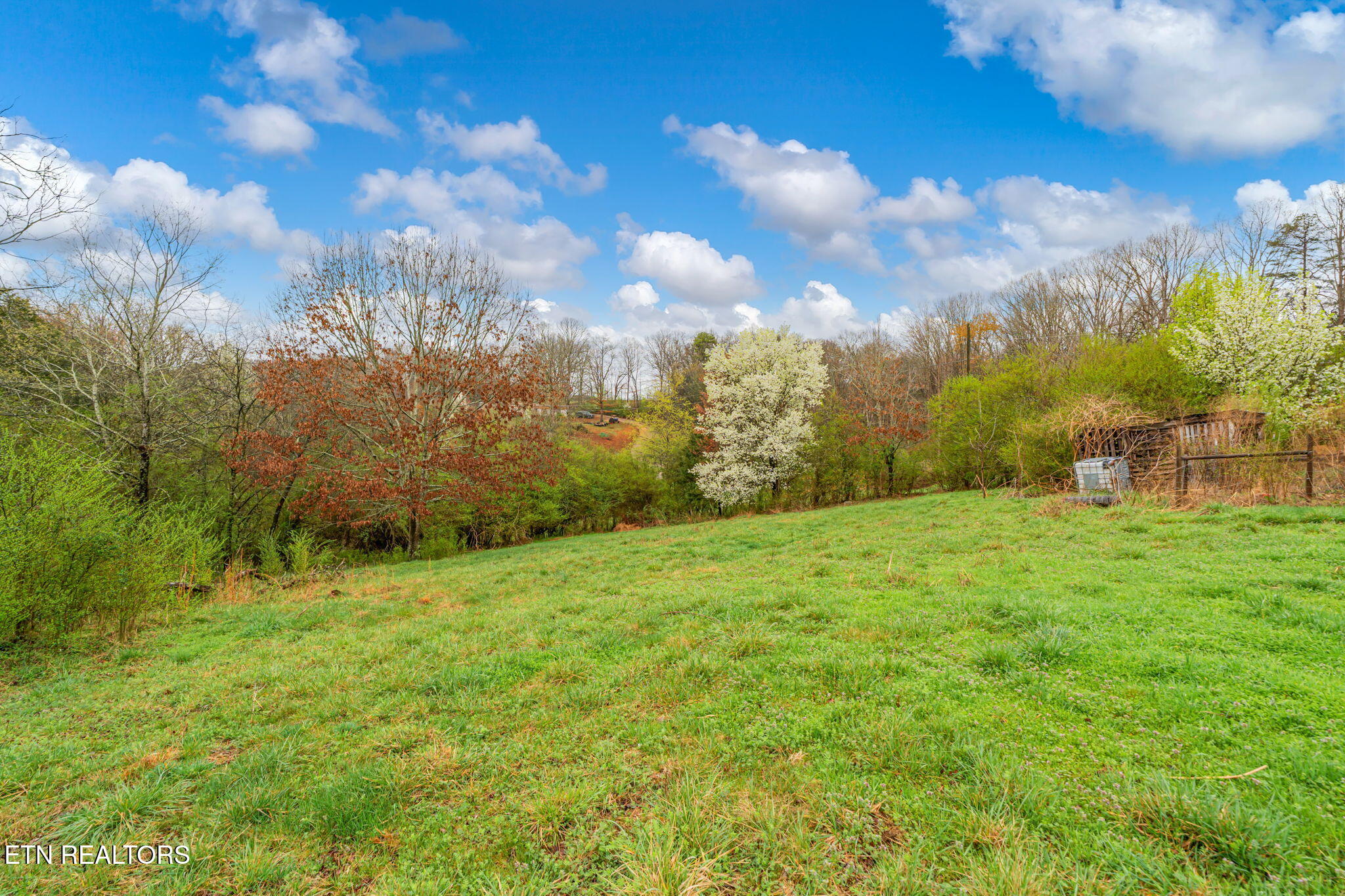 6430 Simpson Road Loudon, TN 37774 - Photo 32 of 36 31-web-or-mls-6430 Simpson Road-31
