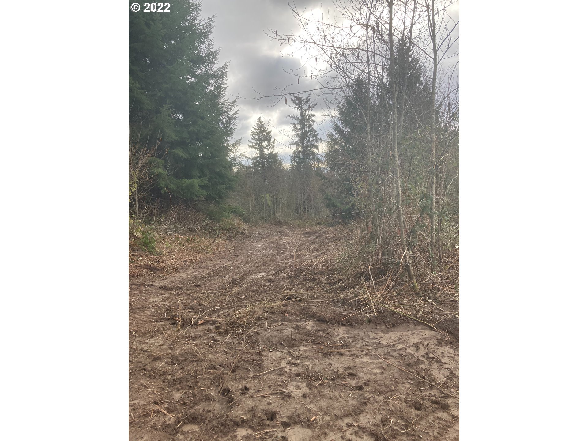 0 Williams Finney Road Kelso, WA 98626 - Photo 6 of 14 Gallery Image 6