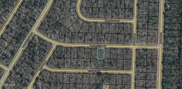 $10,000 | 0 Bloomfield Street, Chipley, FL 32428