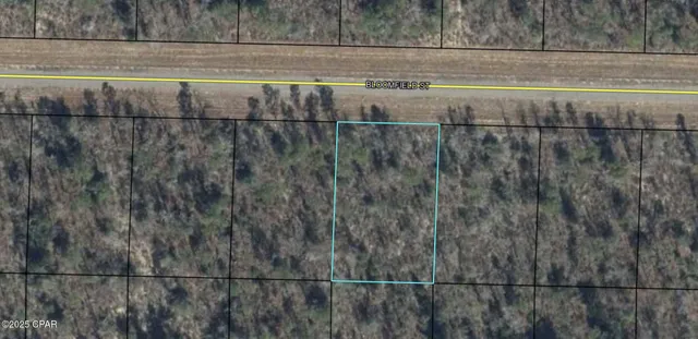 $10,000 | 0 Bloomfield Street, Chipley, FL 32428