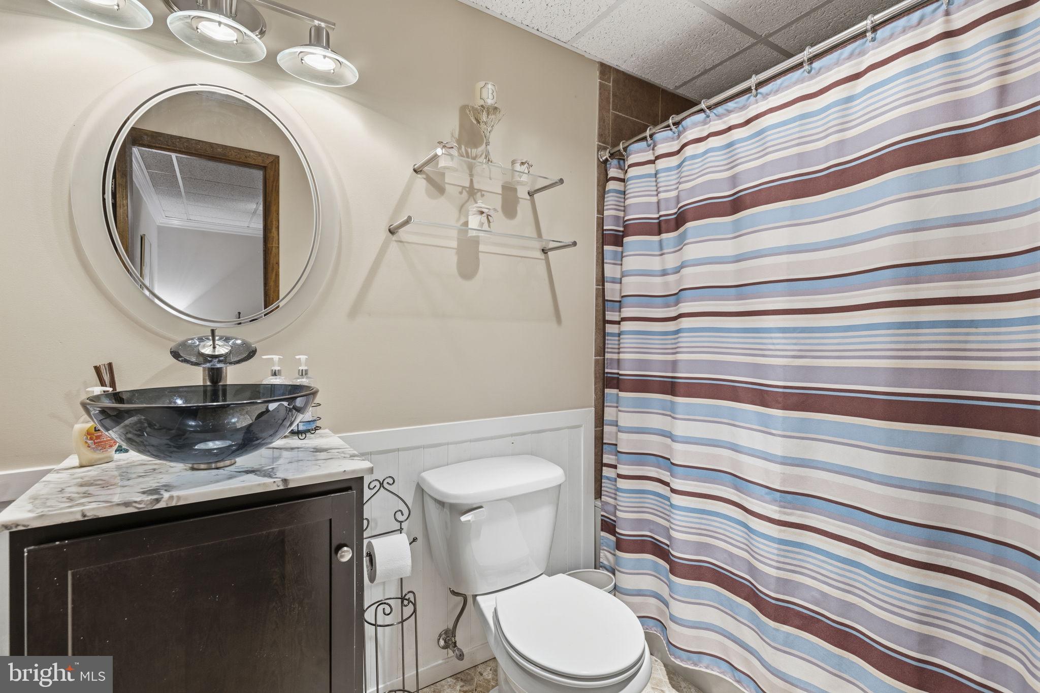 2009 Wilson Road White Hall, MD 21161 - Photo 44 of 68 a bathroom with a sink a toilet and mirror