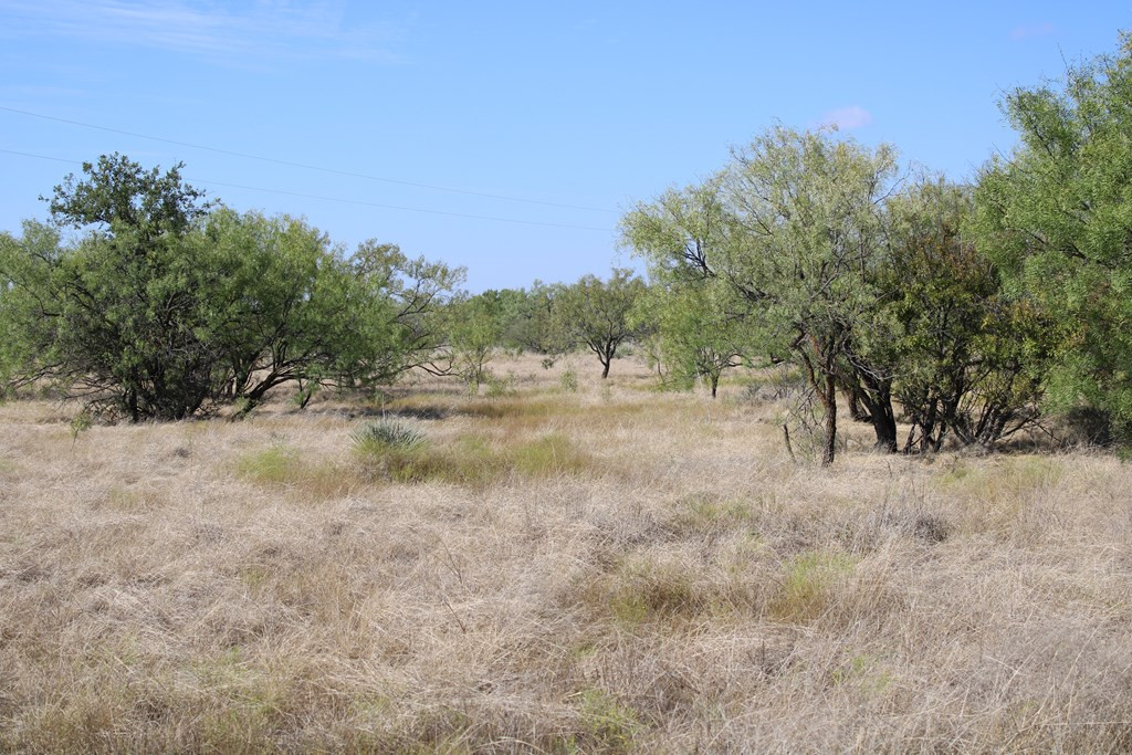 0 County Road Talpa, TX 76882 - Photo 6 of 22 Photo 6