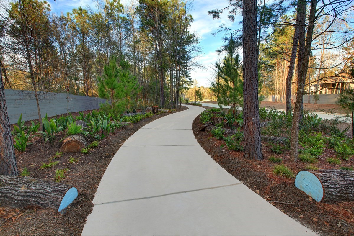 15730 Terracotta Terrace Conroe, TX 77302 - Photo 10 of 14 a view of a backyard