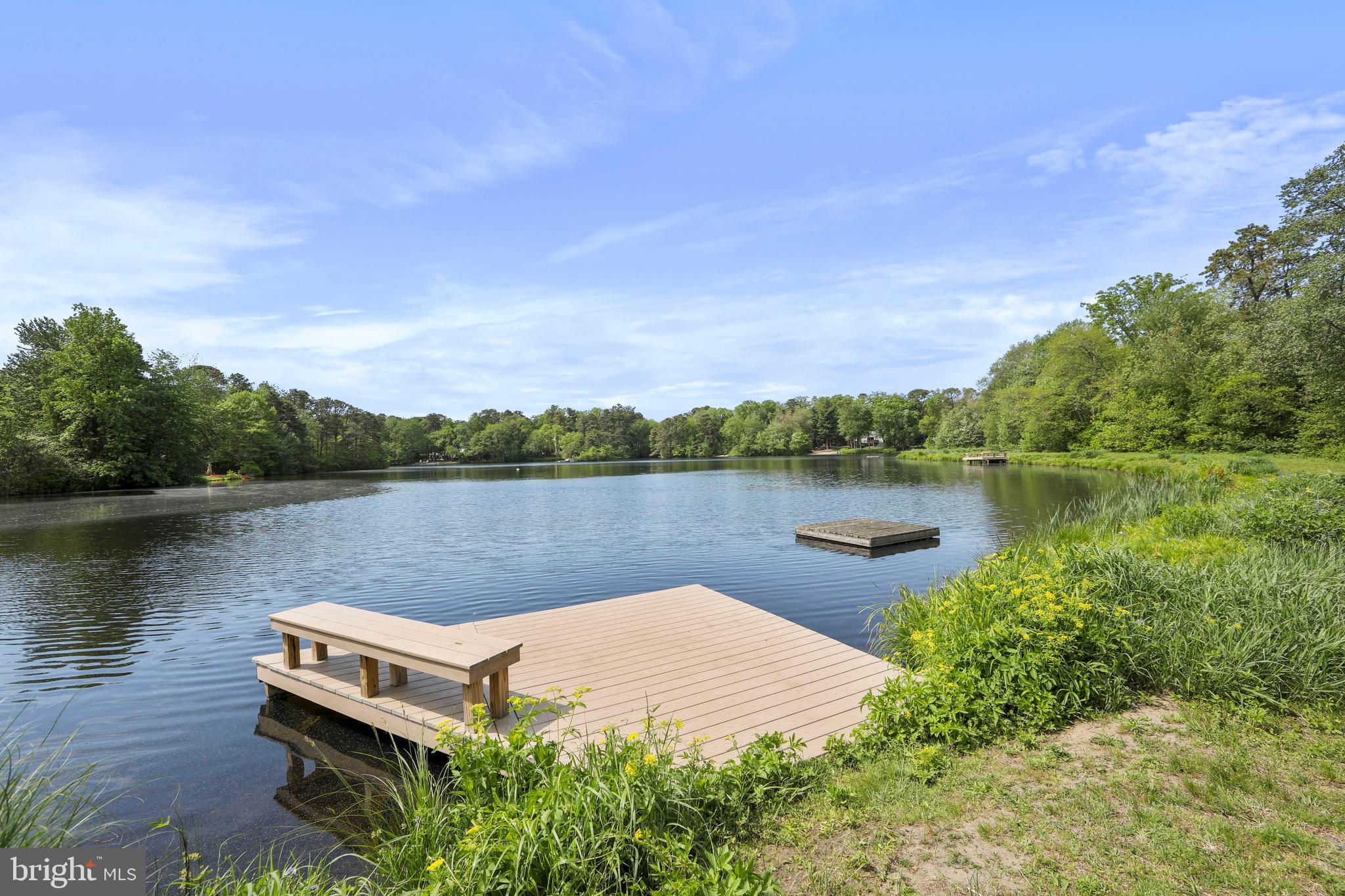 116 Bracken Road Medford, NJ 08055 - Photo 74 of 83 Community Dock