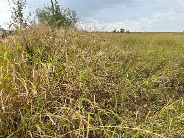 a view of an ocean and beach