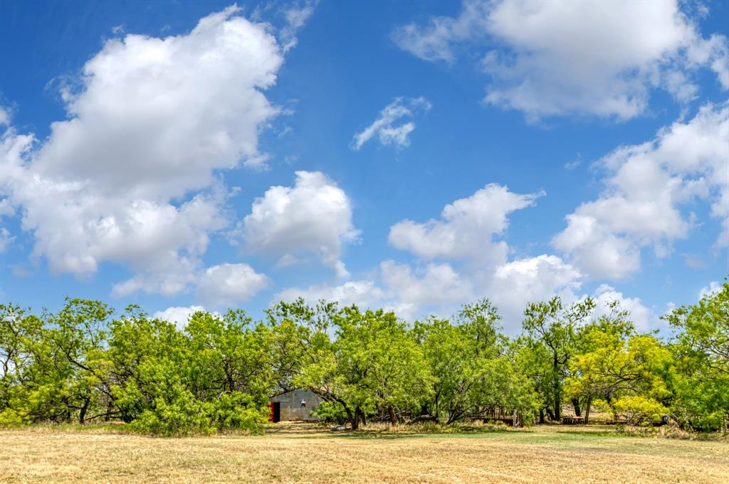 15055 County Road 306 Cisco, TX 76437 - Photo 23 of 40 a view of a city