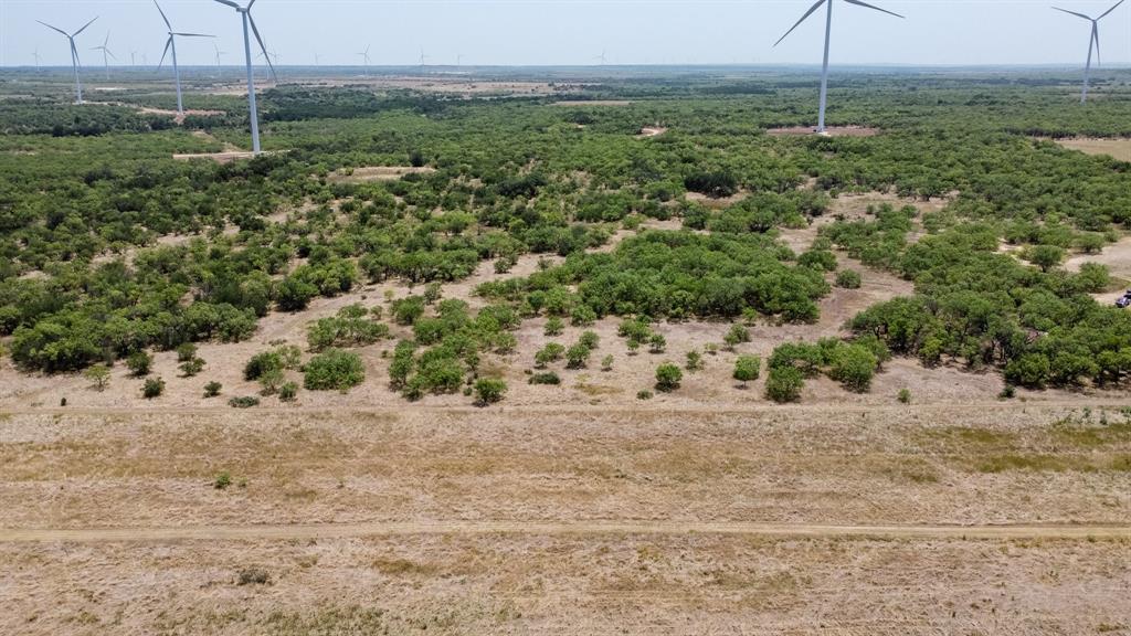 15055 County Road 306 Cisco, TX 76437 - Photo 32 of 40 a view of a dry yard