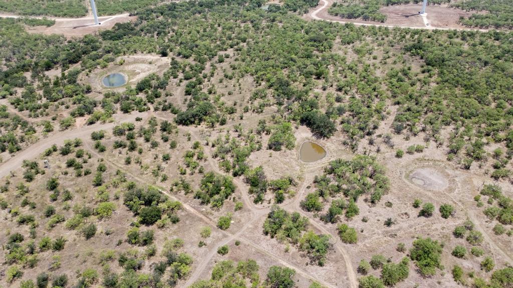 15055 County Road 306 Cisco, TX 76437 - Photo 34 of 40 a view of a yard