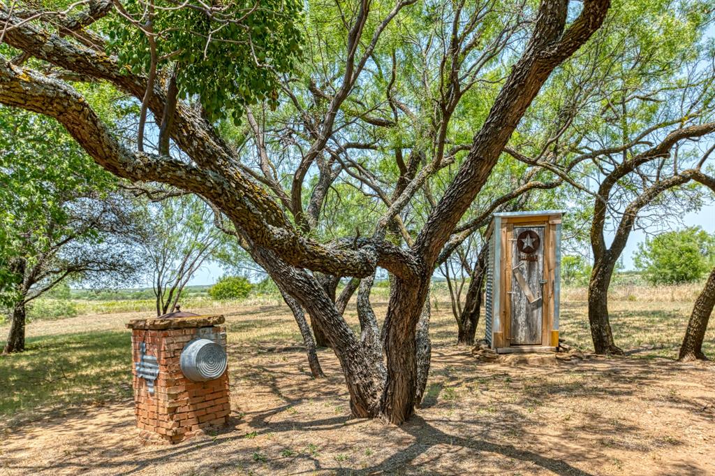 15055 County Road 306 Cisco, TX 76437 - Photo 35 of 40 a view of a yard with large trees