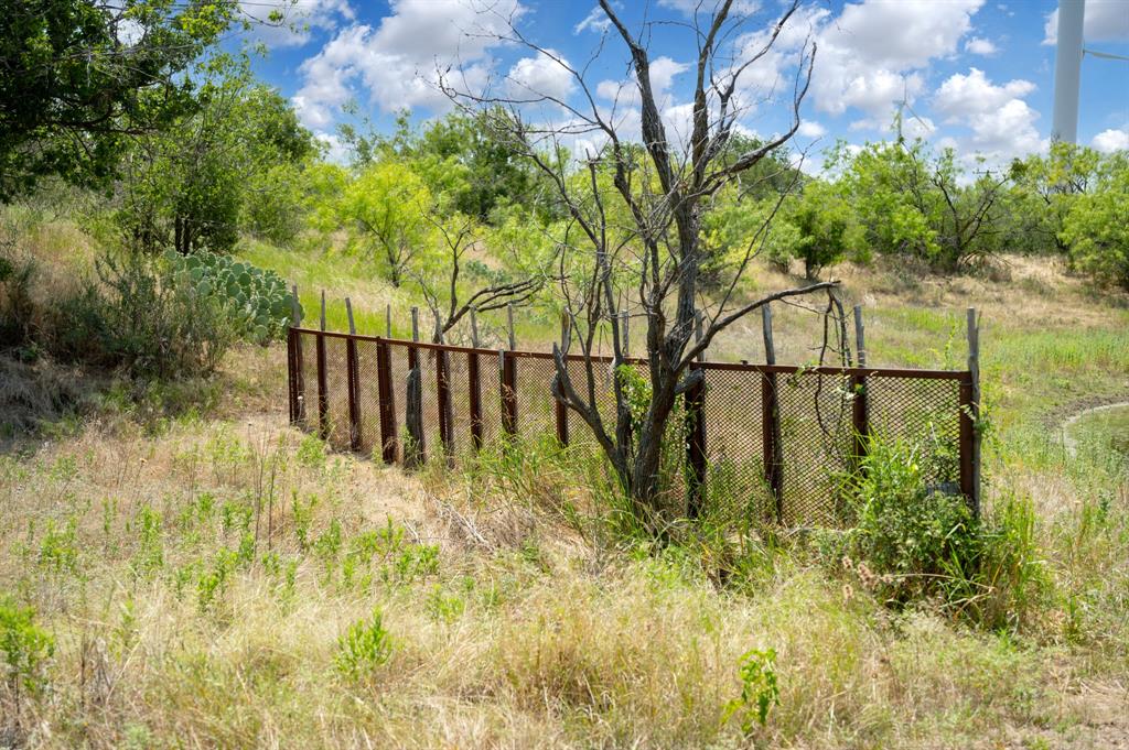15055 County Road 306 Cisco, TX 76437 - Photo 39 of 40 a garden view