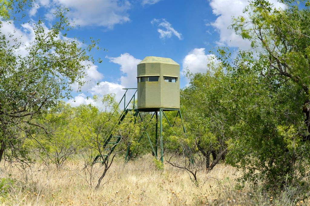 15055 County Road 306 Cisco, TX 76437 - Photo 40 of 40 a picture of a yard