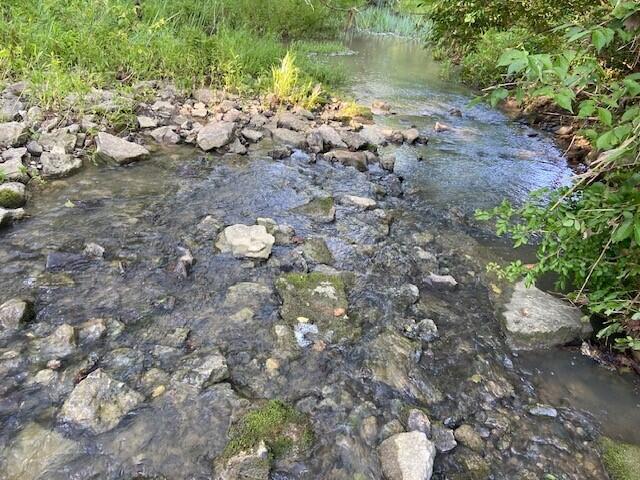0 Mann Road Mount Olivet, KY 41064 - Photo 11 of 46