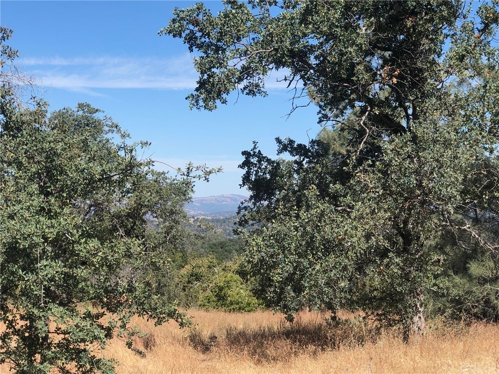 0 3.4ac Franklin Road Coarsegold, CA 93614 - Photo 1 of 1 Gallery Image 1