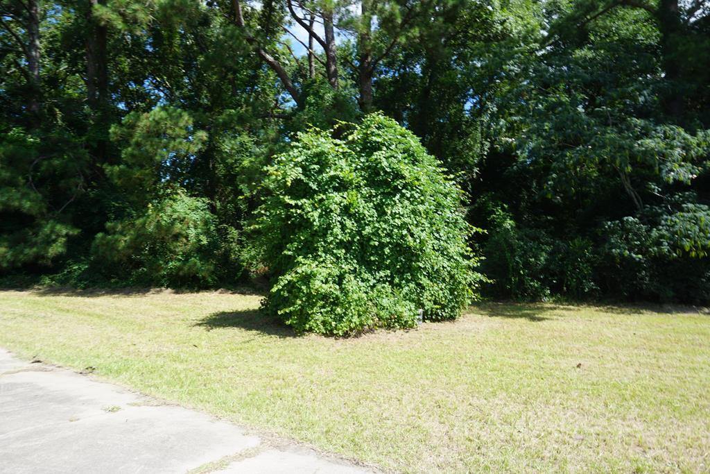 2249 Bethel Church Road Sumter, SC 29154 - Photo 39 of 41 Gallery Image 39