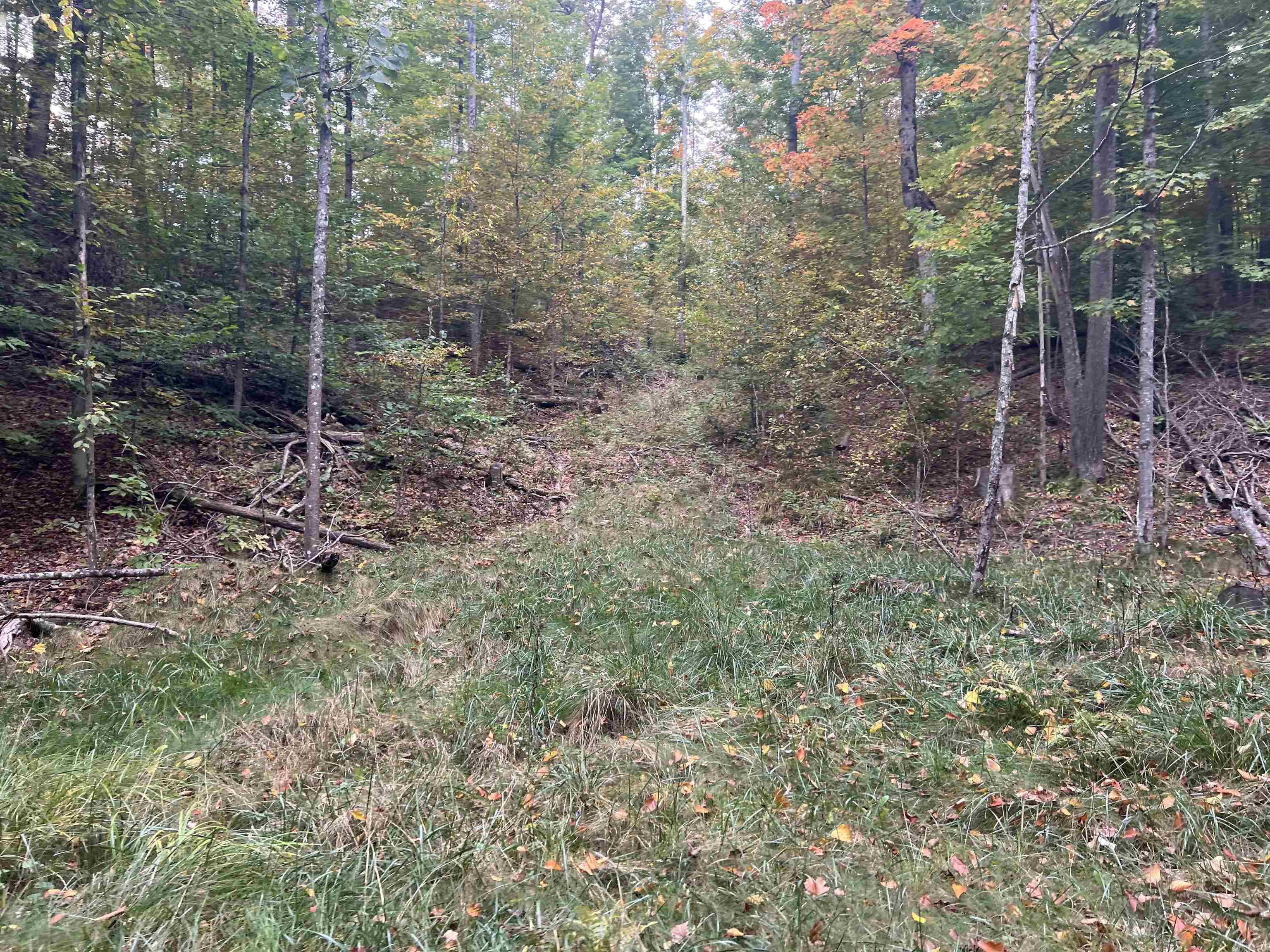 90 A Ridgeview Drive Kalkaska, MI 49646 - Photo 29 of 75