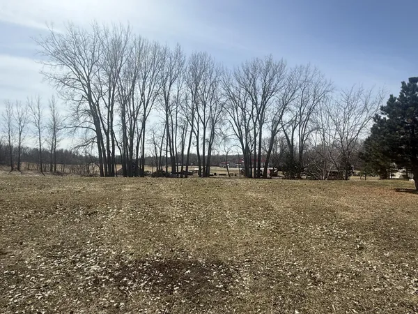 $65,000 | Tbd Trailstone Drive, Cokato, MN 55321