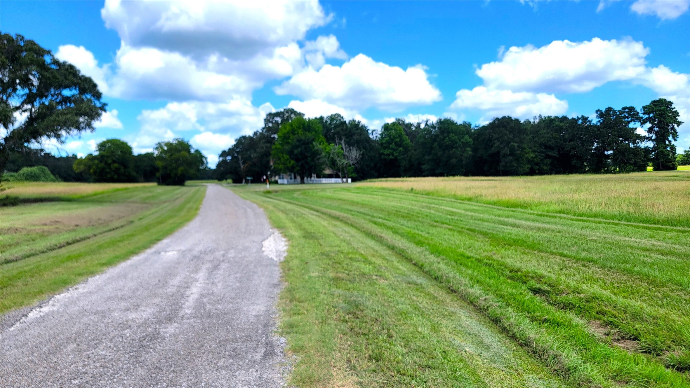 Lot 14 Montgomery Way Trinity, TX 75862 - Photo 2 of 8 a view of a golf course with a lake