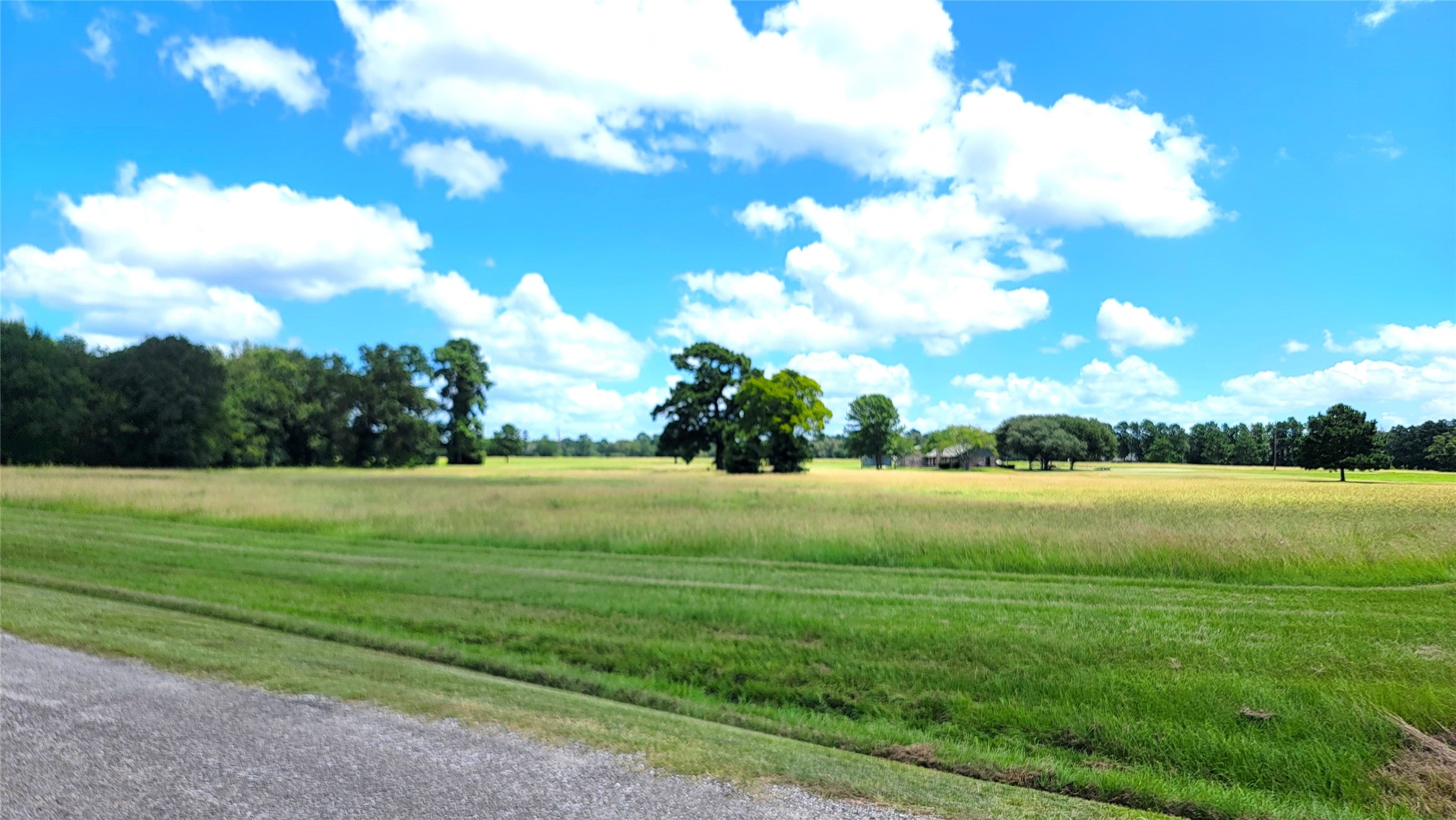 Lot 14 Montgomery Way Trinity, TX 75862 - Photo 3 of 8 a view of an ocean yard and outdoor