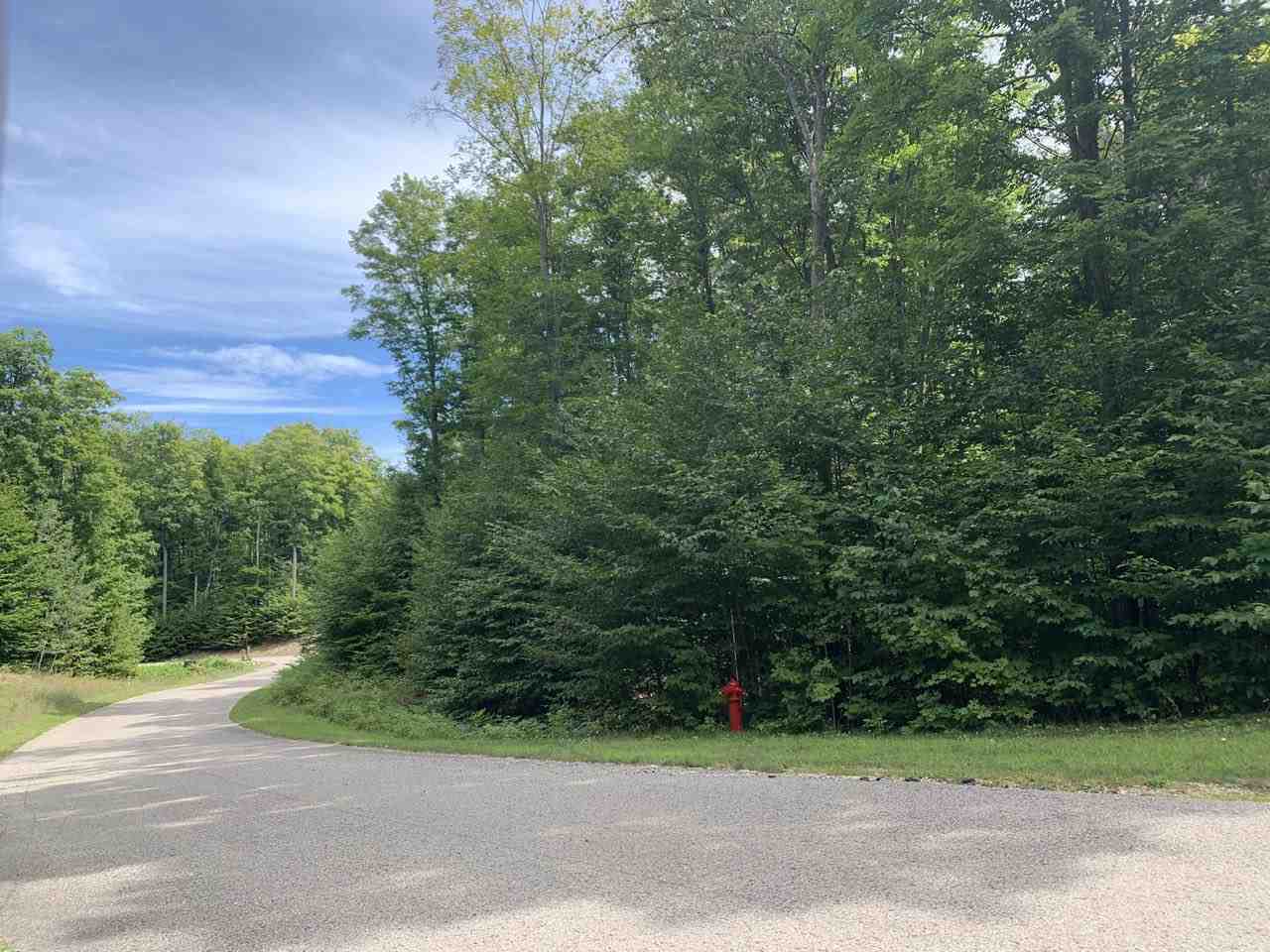 157 Falcons Rest, Unit LOT: 157 Bellaire, MI 49615 - Photo 1 of 36