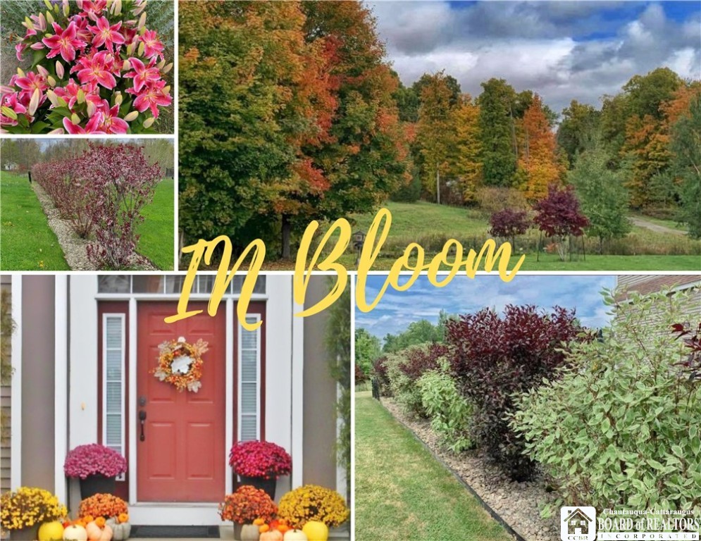 2115 Cedar Brook Busti, NY 14750 - Photo 11 of 43