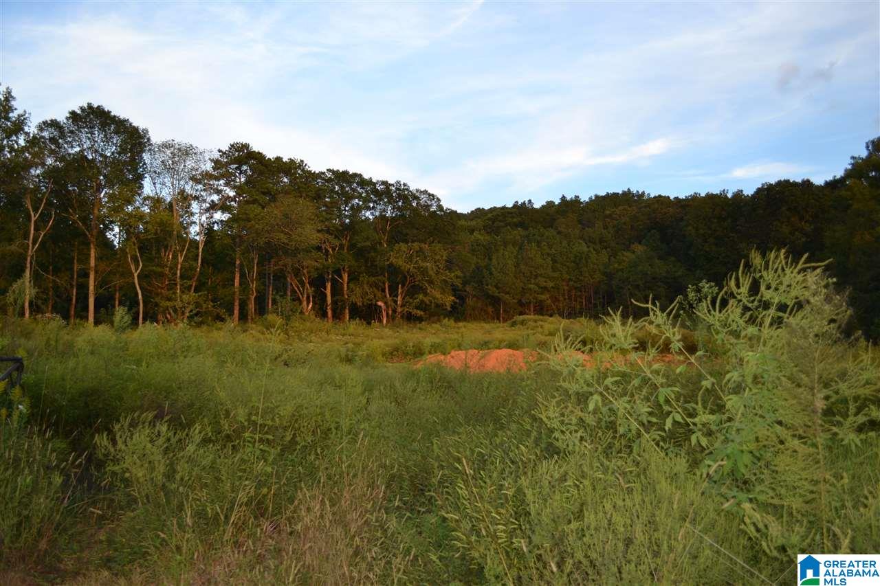 5301 Old Pinson Road, Unit 1 PARCEL Birmingham, AL 35215 - Photo 3 of 4