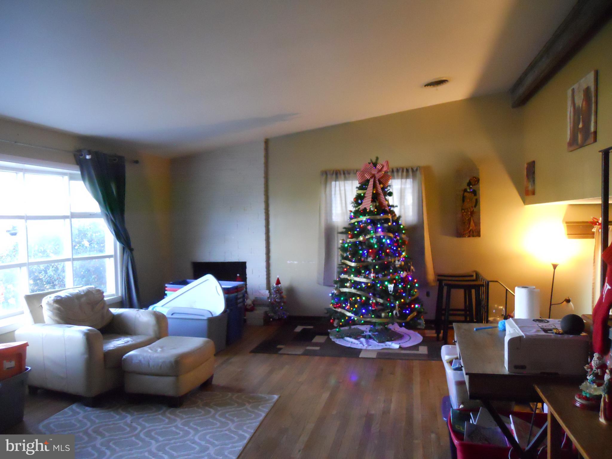 164 Oberlin Avenue Reading, PA 19608 - Photo 9 of 31 a living room with furniture and a christmas tree