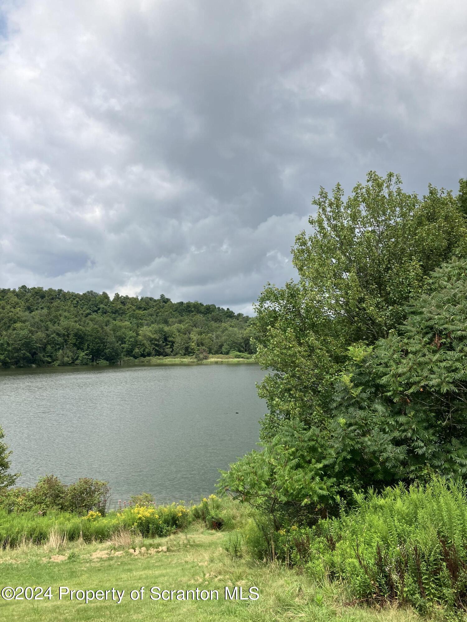 11694 State Rte 3004 Springville, PA 18844 - Photo 27 of 37 IMG_2092