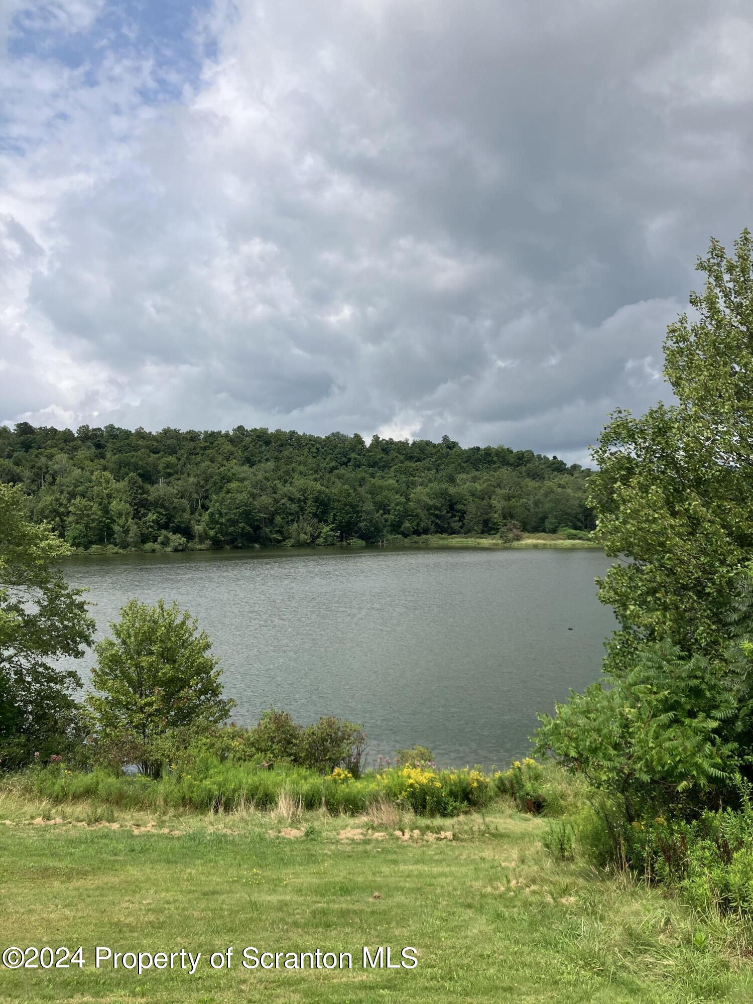 11694 State Rte 3004 Springville, PA 18844 - Photo 28 of 37 IMG_2084