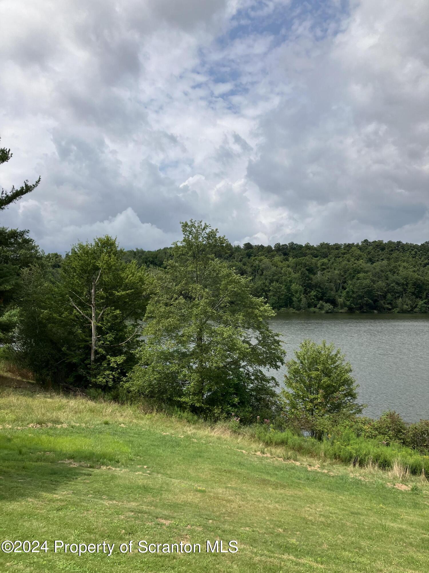 11694 State Rte 3004 Springville, PA 18844 - Photo 29 of 37 IMG_2093