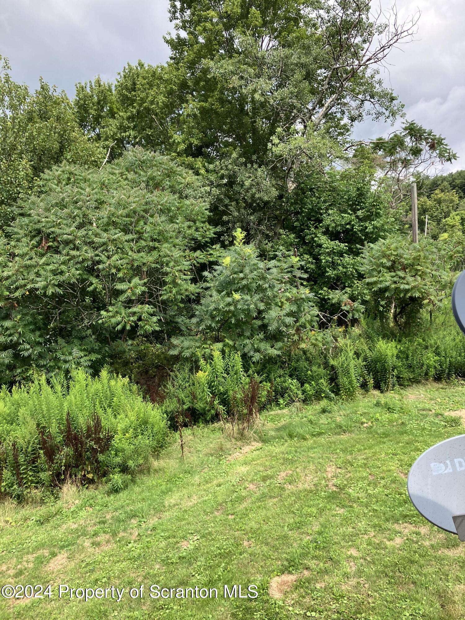 11694 State Rte 3004 Springville, PA 18844 - Photo 33 of 37 IMG_2091