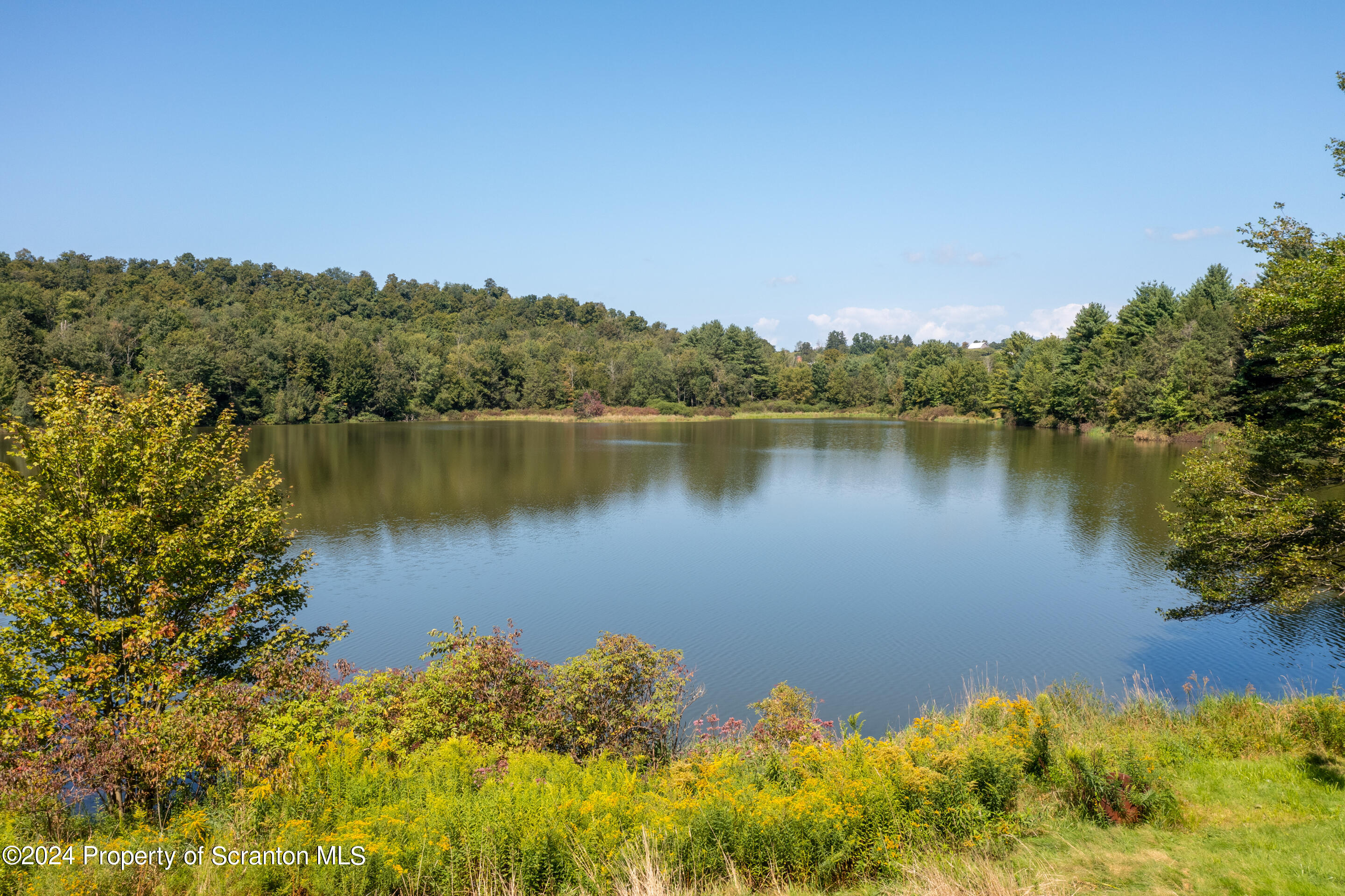 11694 State Rte 3004 Springville, PA 18844 - Photo 10 of 37 Springville-ThomasPond-10