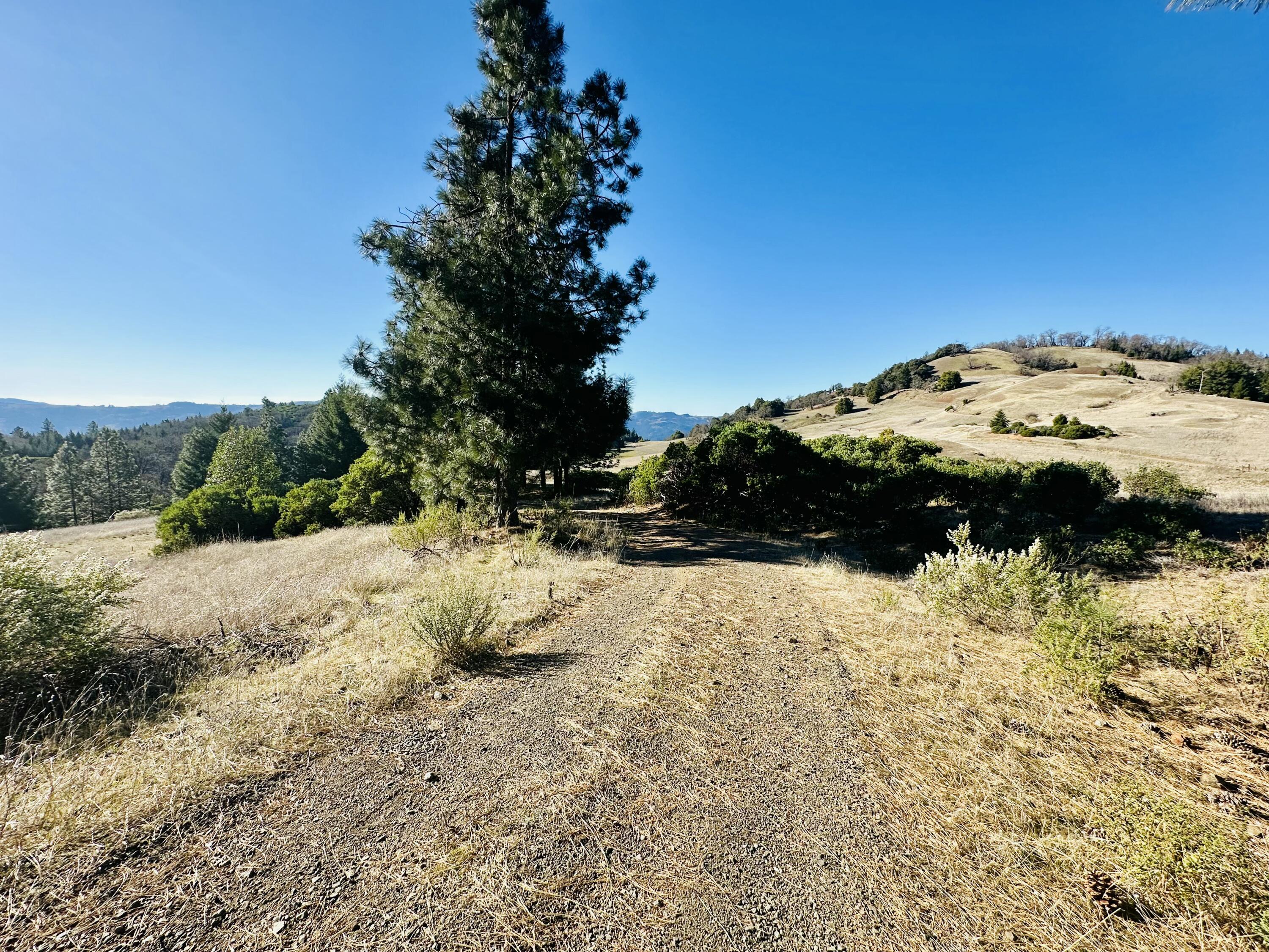 40 Wool Mountain Road Zenia, CA 95595 - Photo 58 of 62 tempImagegZEjTx