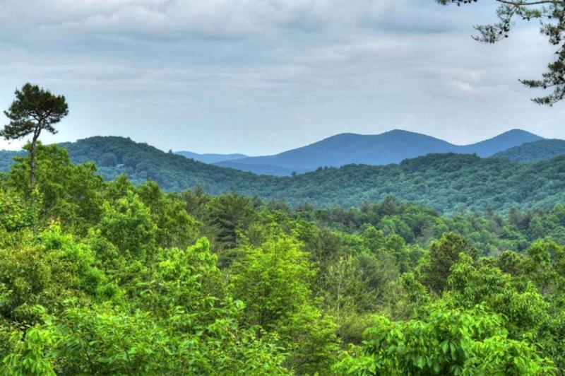 436 Geronimo Road Cherry Log, GA 30522 - Photo 27 of 72 a view of a lush green forest with mountains in the background