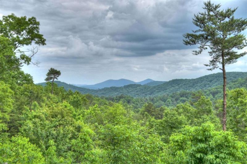 436 Geronimo Road Cherry Log, GA 30522 - Photo 5 of 72