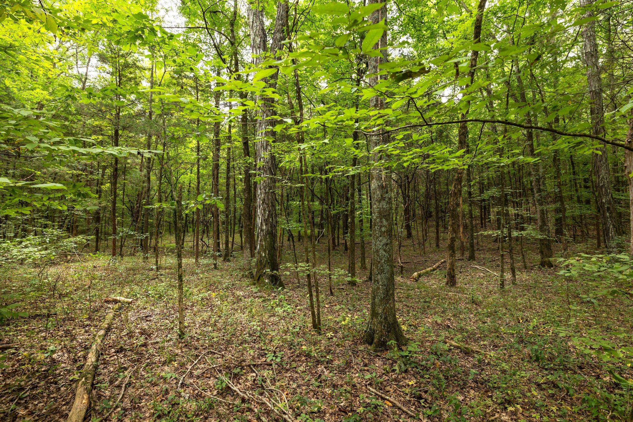 2350 Joe Brown Road Spring Hill, TN 37174 - Photo 67 of 80