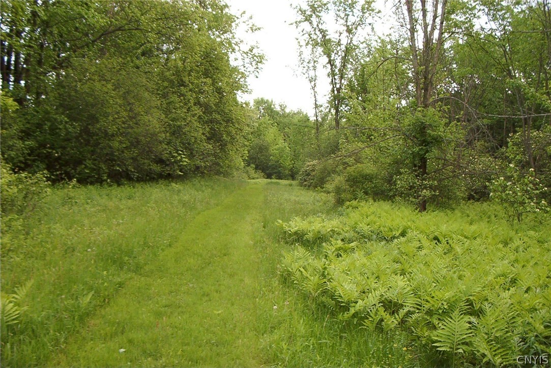 Homestead Road Clinton, NY 13323 - Photo 13 of 17