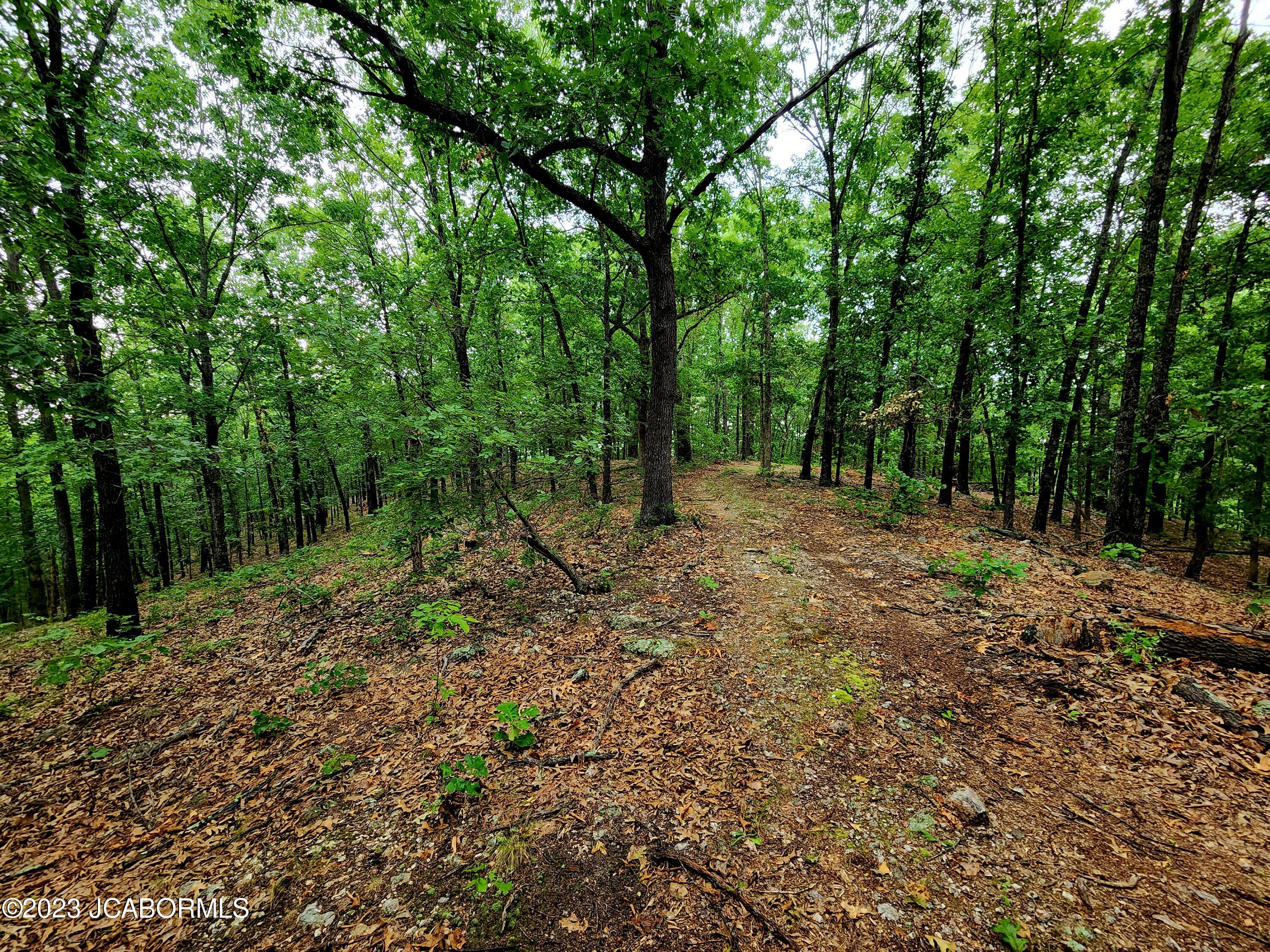 Lot 10 Copperstone Road Camdenton, MO 65020 - Photo 7 of 10