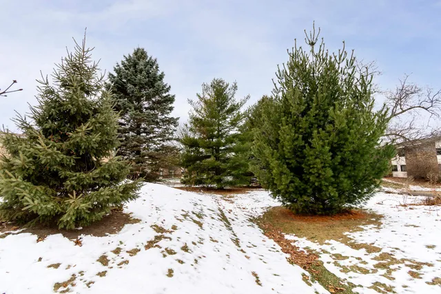 $150,000 | 1009 North Sunny Vale Lane, Unit C, Madison, WI 53713