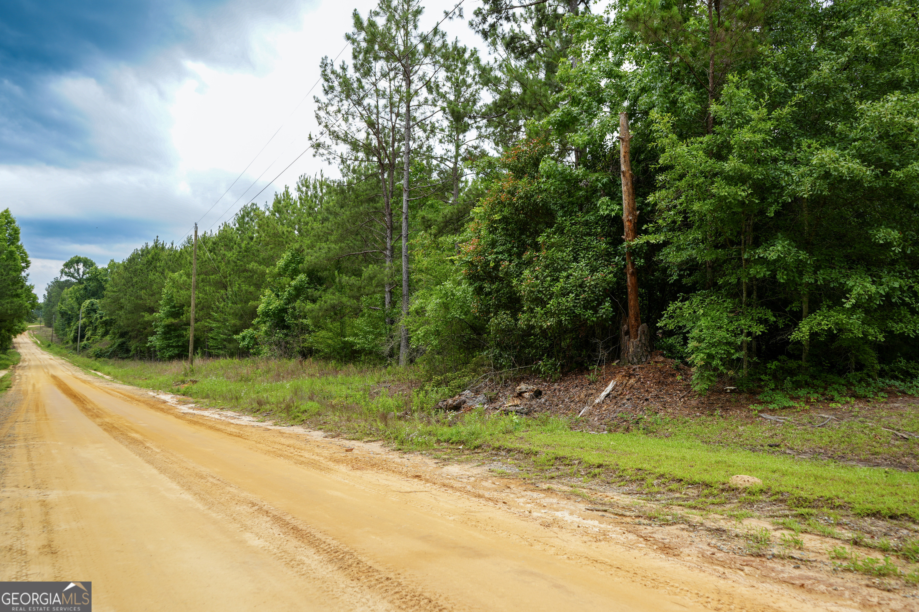 1869 Minter Blue Springs Road Rockledge, GA 30454 - Photo 41 of 45 a view of a yard with a pathway