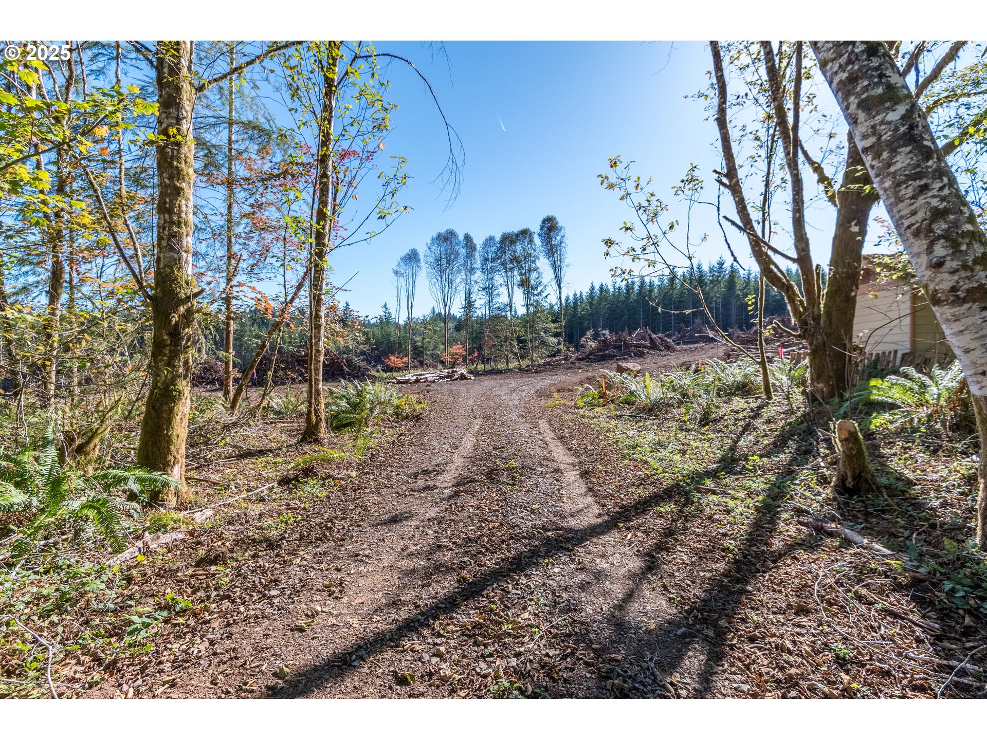 Hunter Longview, WA 98632 - Photo 3 of 3 Gallery Image 3